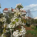 Ruzica Сукошан