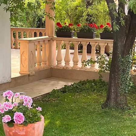 Ruzica
