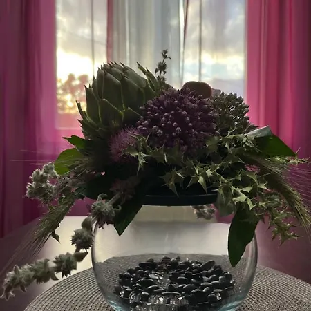 Apartment Ruzica Sukosan