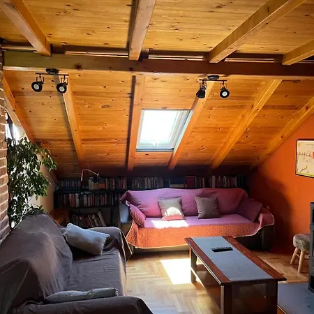 Apartment Ruzica *