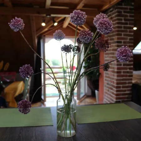 Apartment Ruzica Sukosan