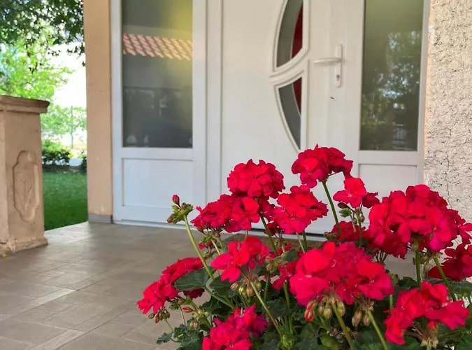 Apartmán Ružica *