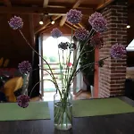 Apartment Ruzica Sukosan